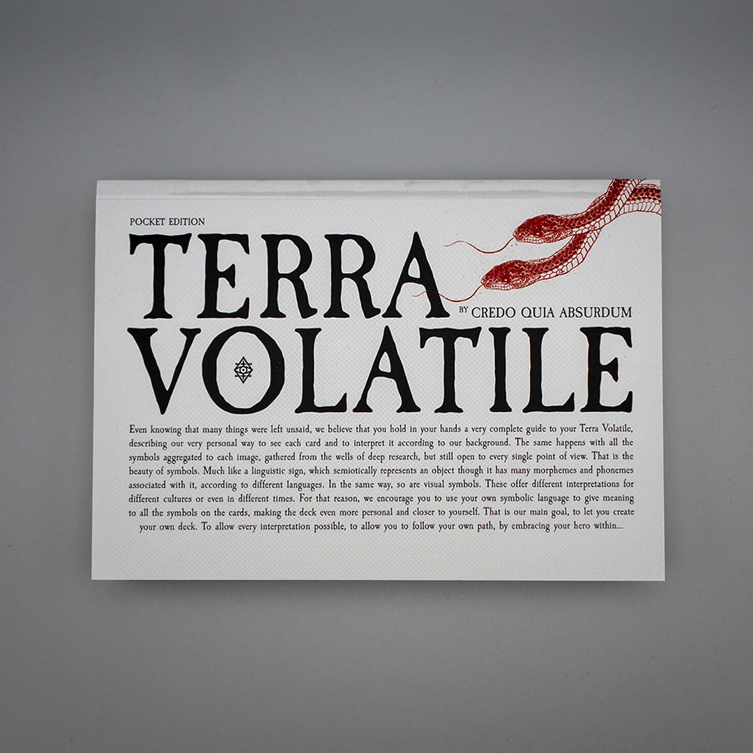 Terra Volatile Book Pocket Edition