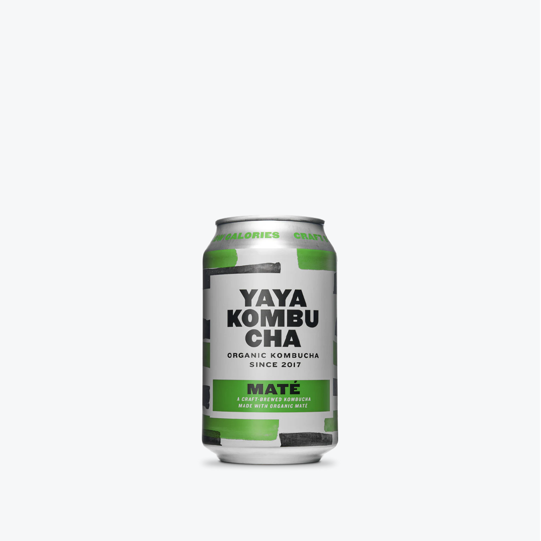 Maté Kombucha