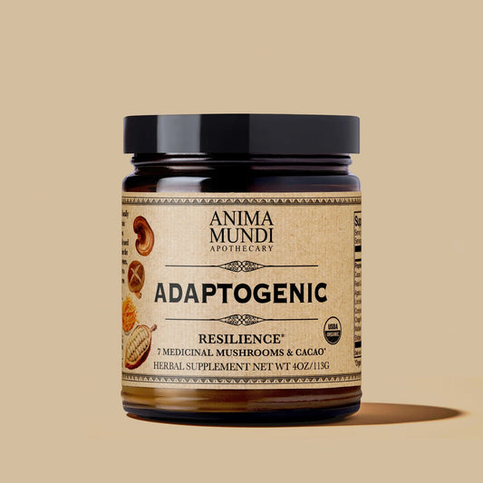 Adaptogenic Resilience _ 7 Mushrooms & Cacao