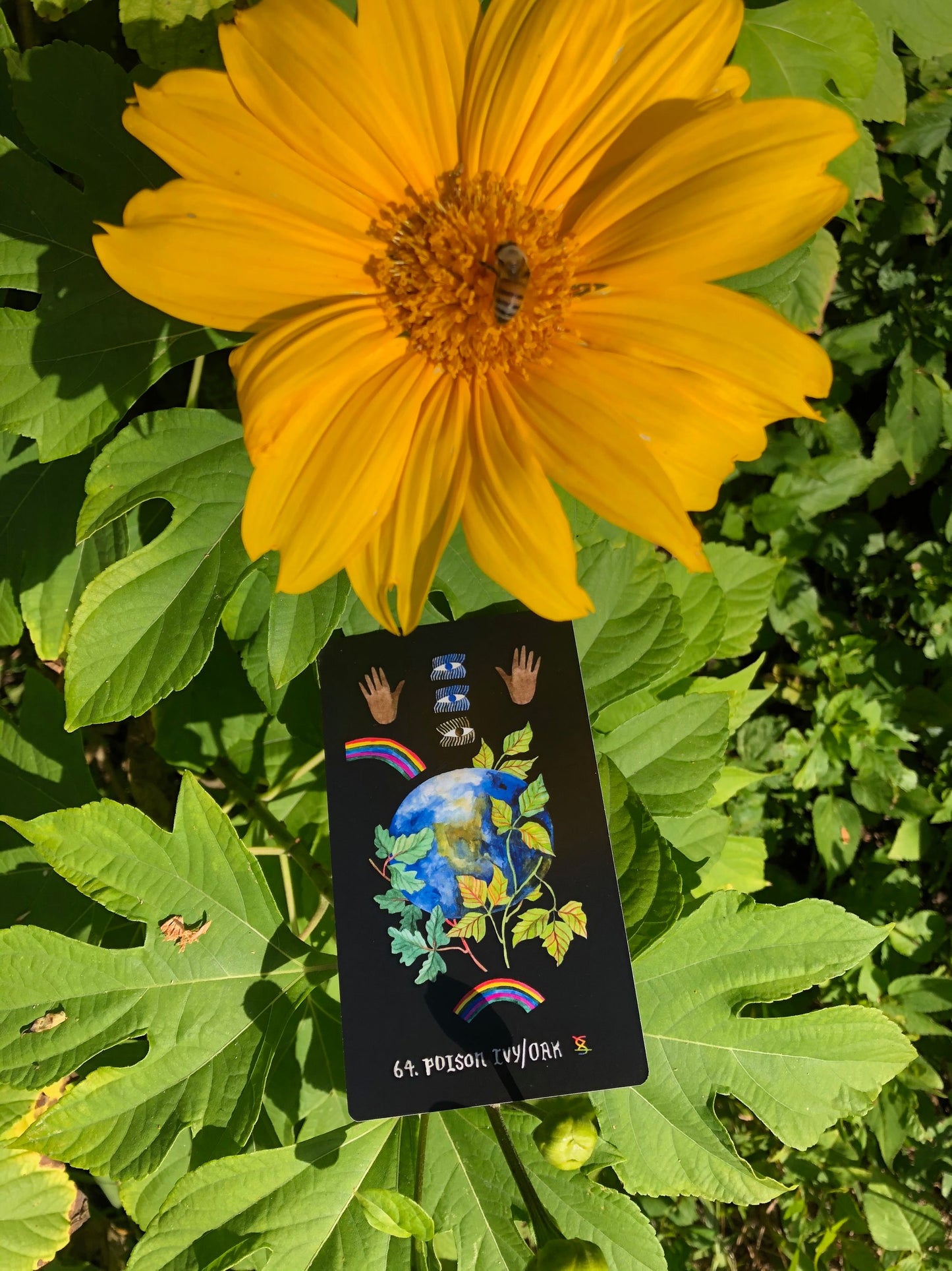 The Dirt Gems _ author's edition Oracle Deck & Guidebook