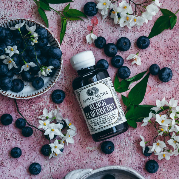 Black Elderberry Syrup _ Organic Antivirals