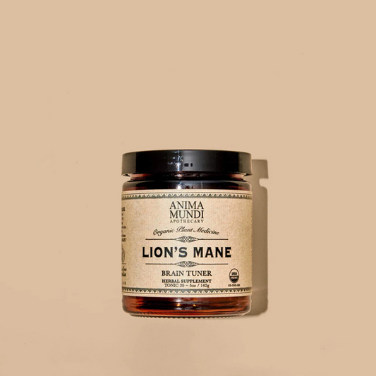 Lion's Mane _ Brain Super Tonic