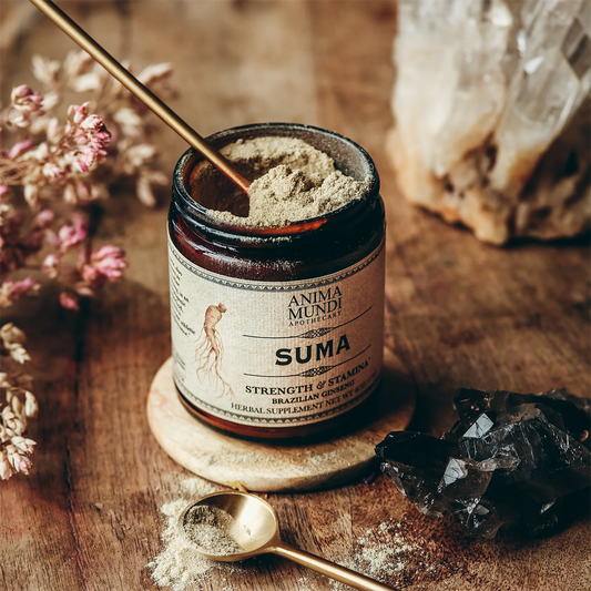 Suma . Brazilian Ginseng