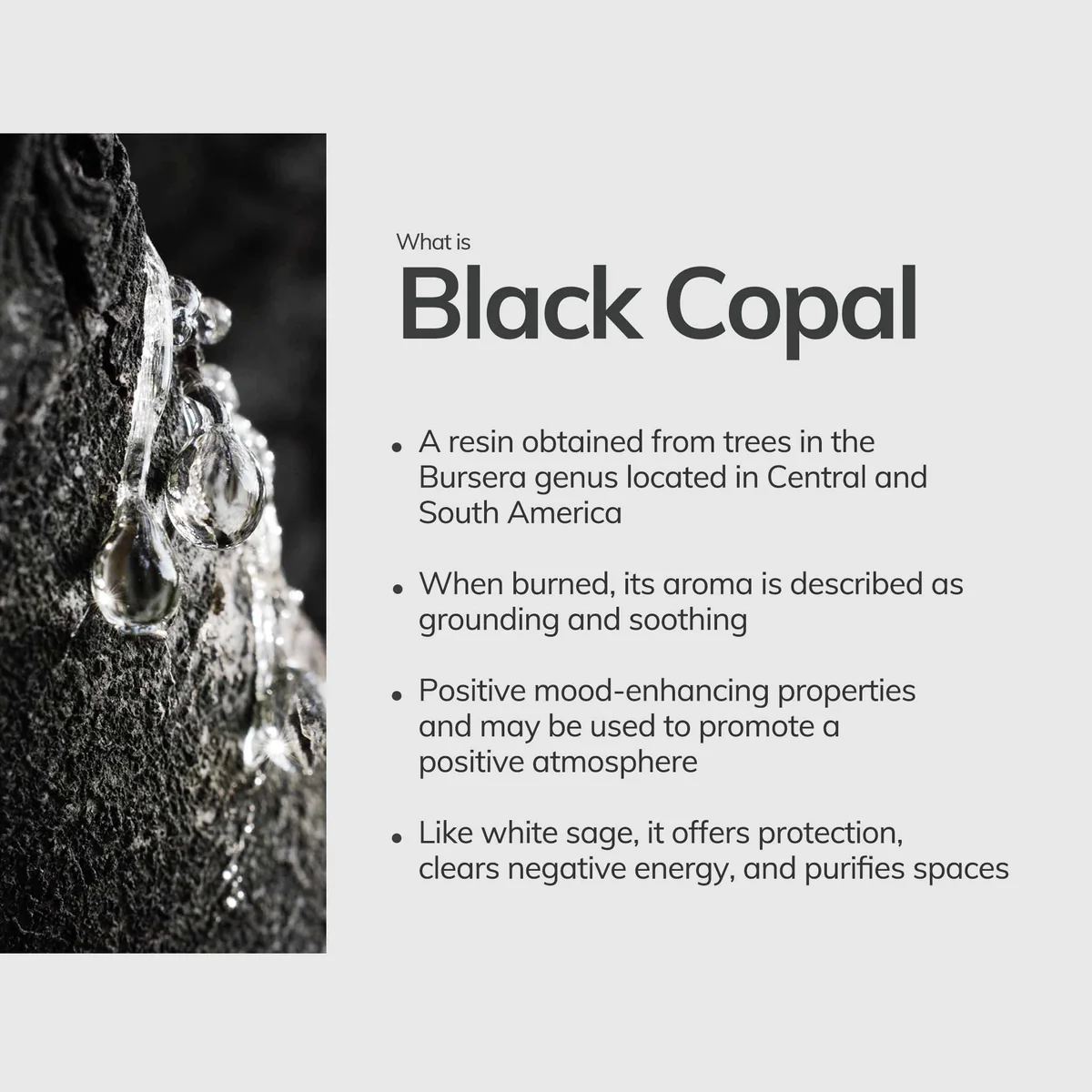 Black Copal Hand Rolled Incense Stick