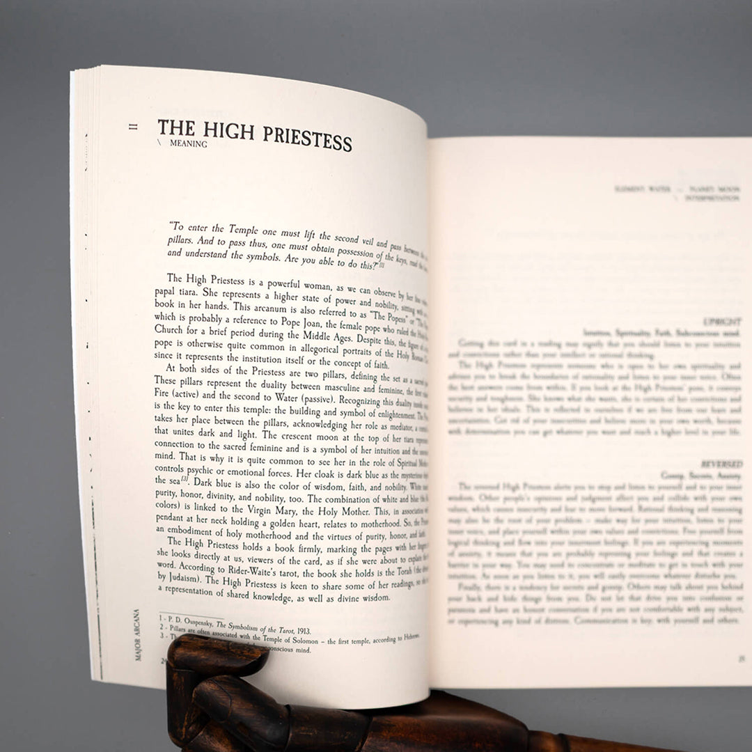Terra Volatile Book Pocket Edition