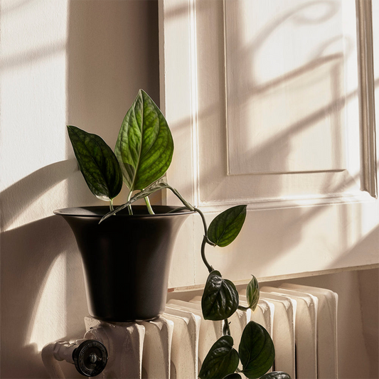Spun Alu Pot