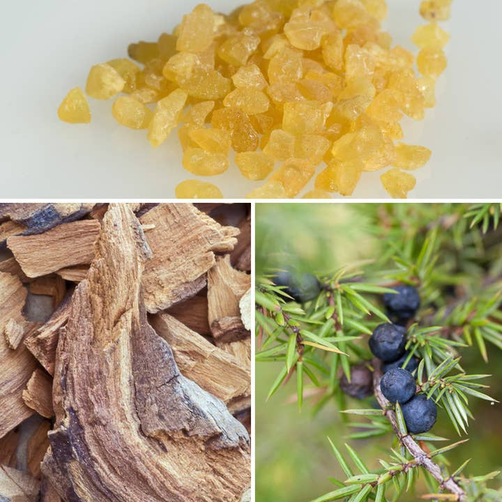 Frankincense Relax Essential Oil Blend 5ml