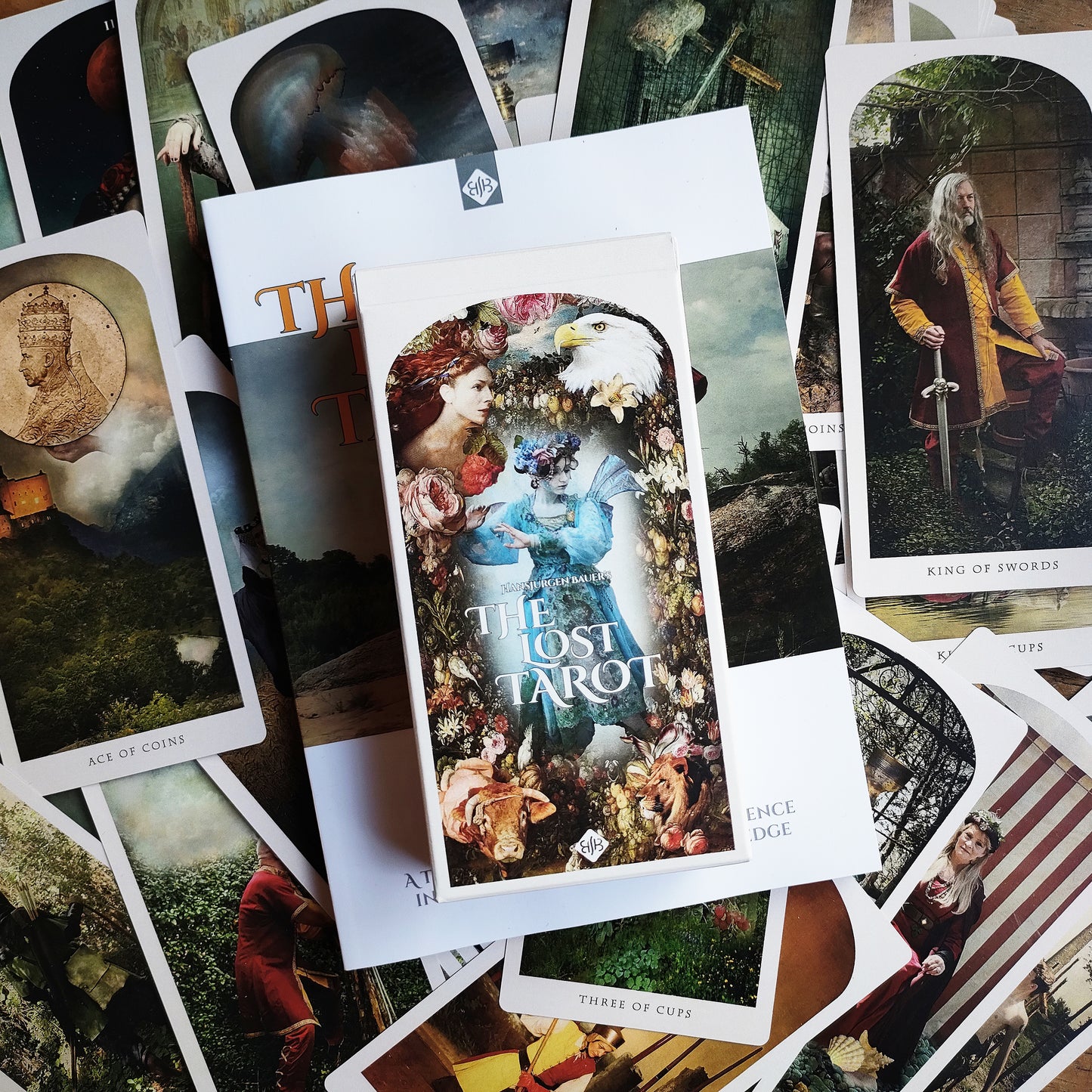 The Lost Tarot _ Deck & Book