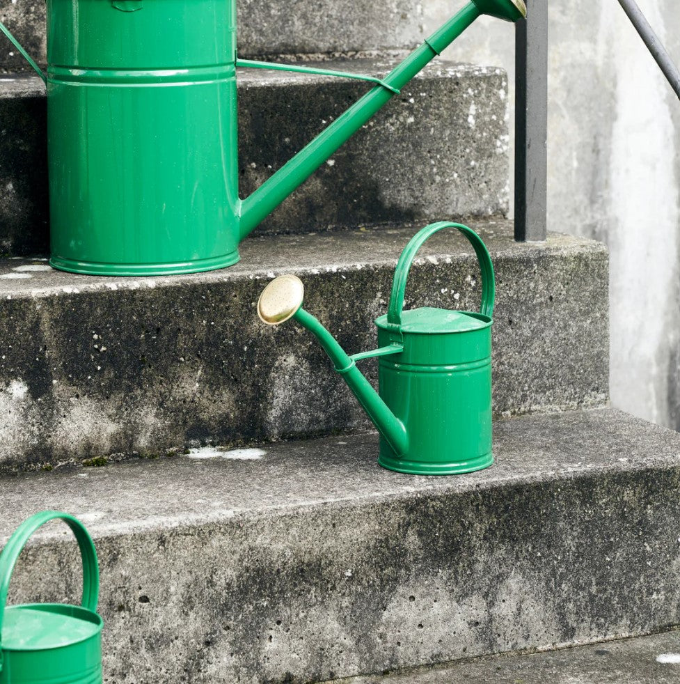 Watering Can _ Green