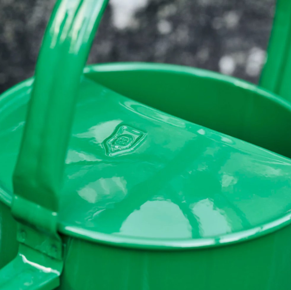 Watering Can _ Green