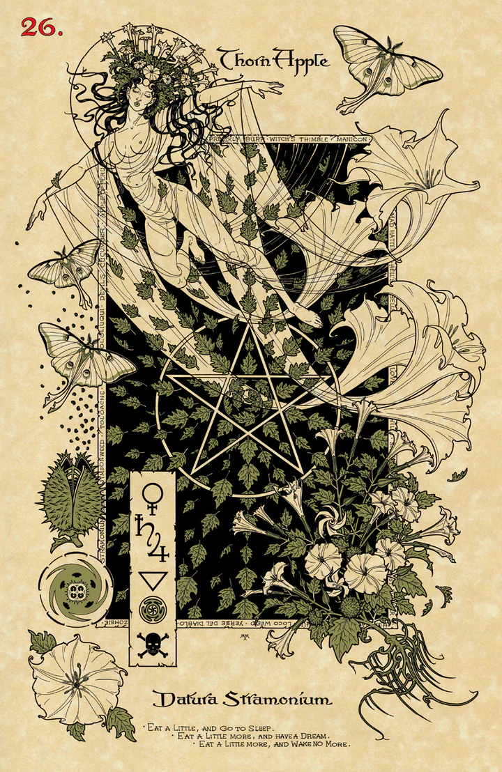 Magickal Botanical Oracle