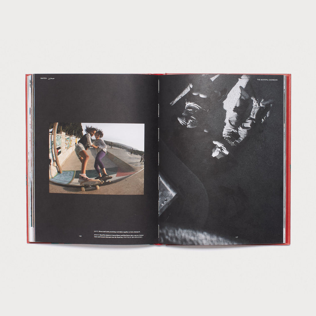 Sahten _ The SkatePal Cookbook