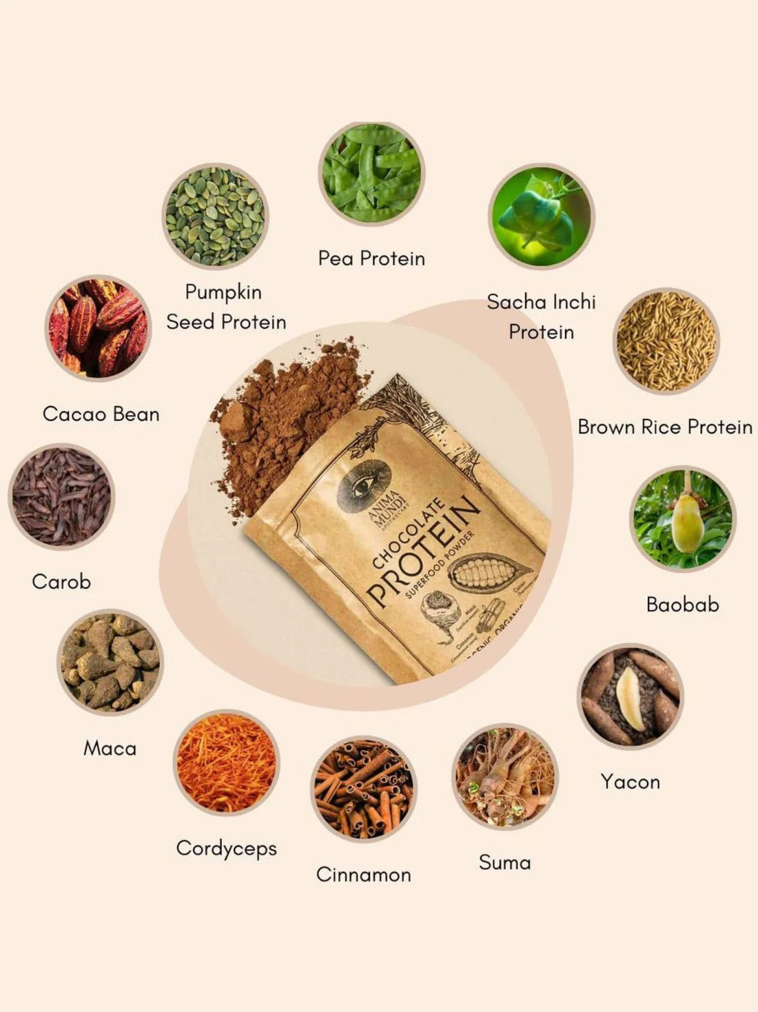 Chocolate Protein _ Superfood Powder