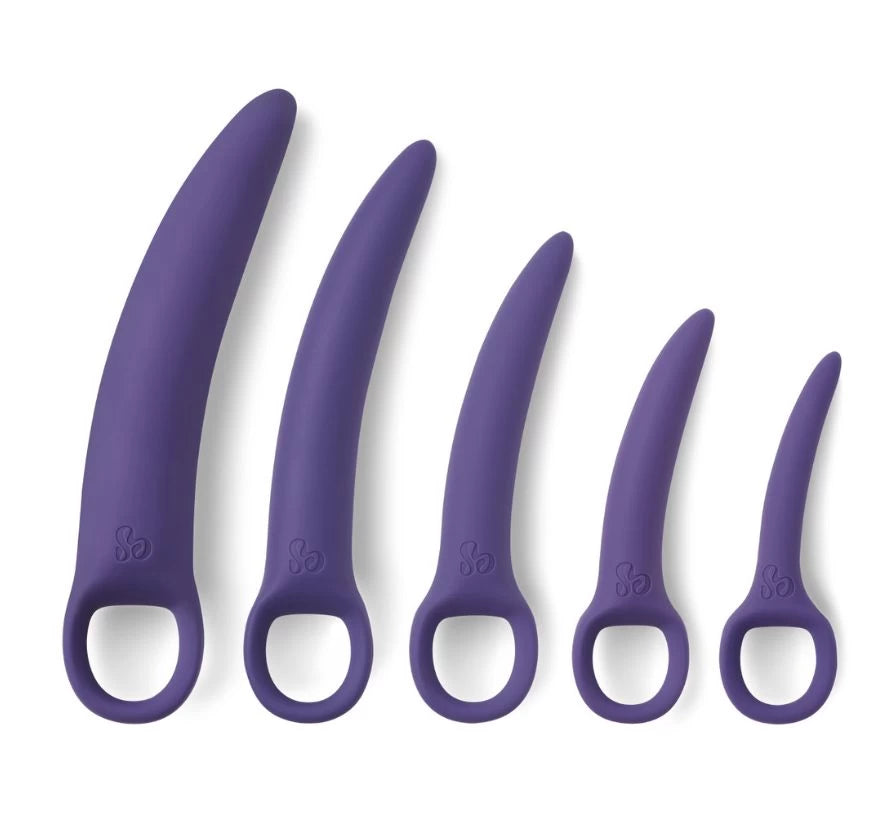 Dilator Set