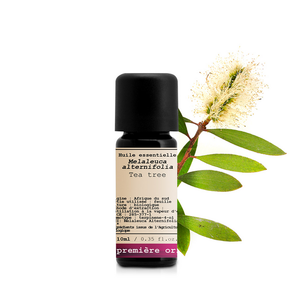 Tea Tree _ Essential Oil