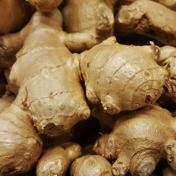 Ginger _ Essential Oil