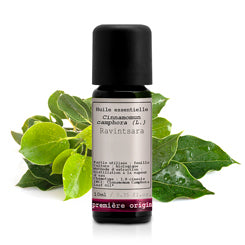 Ravintsara _ Essential Oil