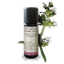 Spanish Red Thyme _ Essential Oil