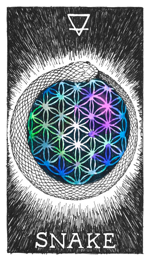 The Wild Unknown Animal Spirit Box Set _ Oracle Deck & Guidebook