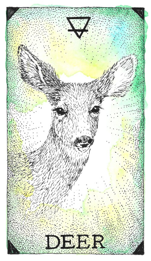 The Wild Unknown Animal Spirit Box Set _ Oracle Deck & Guidebook