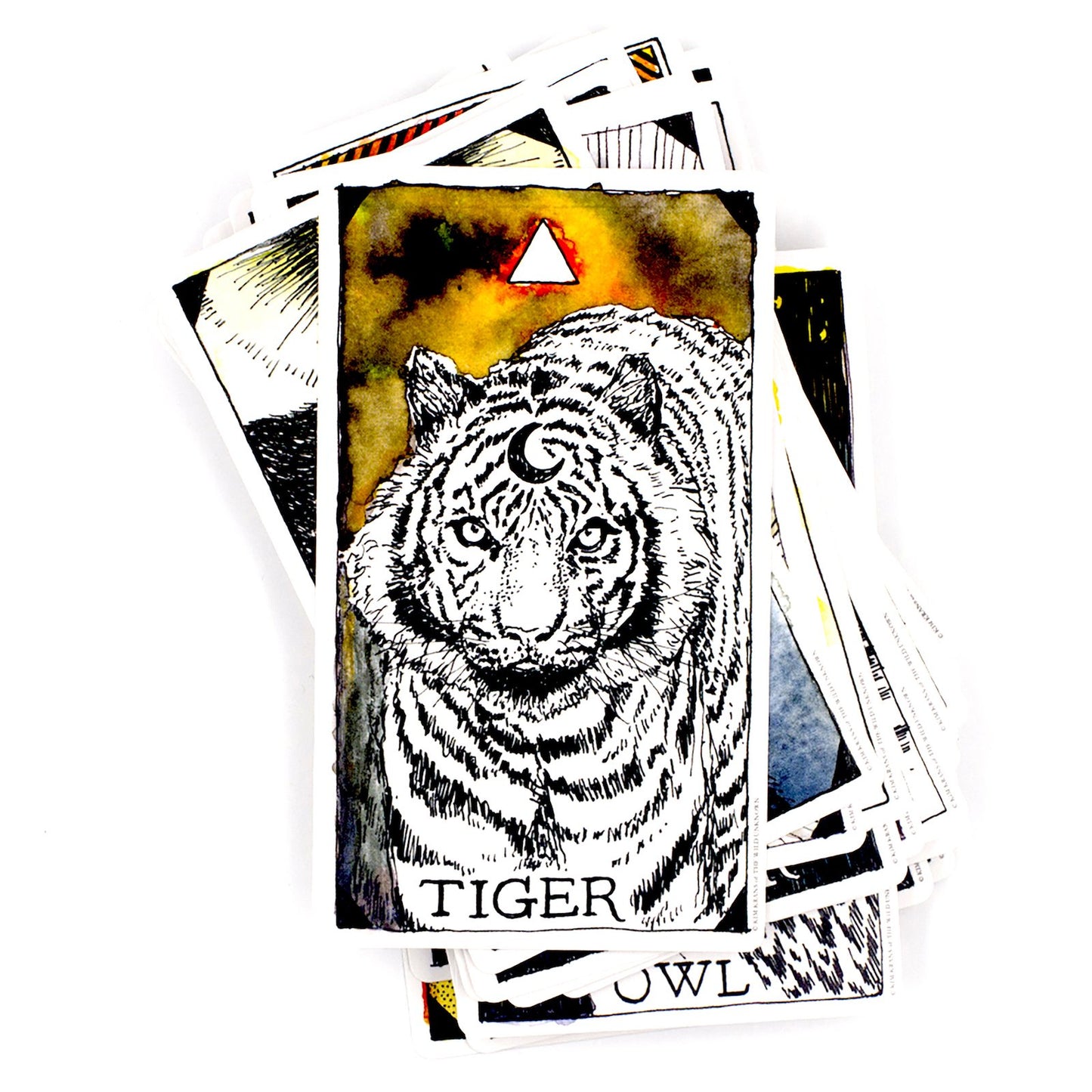 The Wild Unknown Animal Spirit Box Set _ Oracle Deck & Guidebook