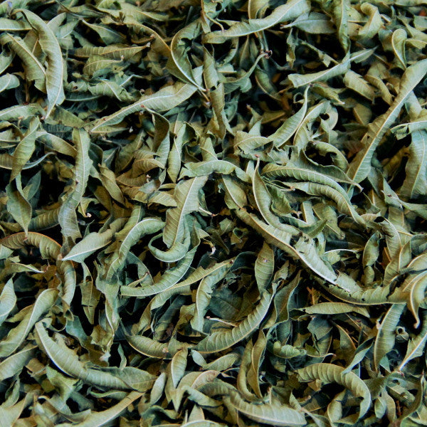 Yunnan Verbena _ Essential Oil